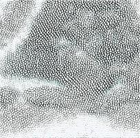 ����ɫƤ�������ߵ�ͼ