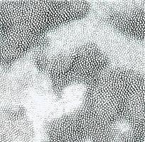 ɫƤߵͼ