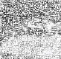 ɫƤߵͼ