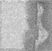 ɫƤߵͼ
