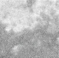 ��ɫƤ�������ߵ�ͼ