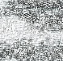 ��ɫƤ�������ߵ�ͼ