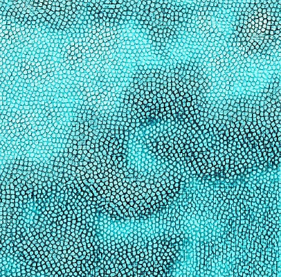 ����Ƥ�������ߵ�ͼ