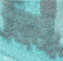 ����ɫƤ�������ߵ�ͼ