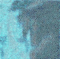 ����ɫƤ�������ߵ�ͼ