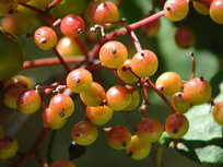 ���o��ʵ��д