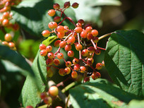 ���o��ɫ��ʵ