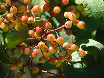 ���o������ɫ��ʵ