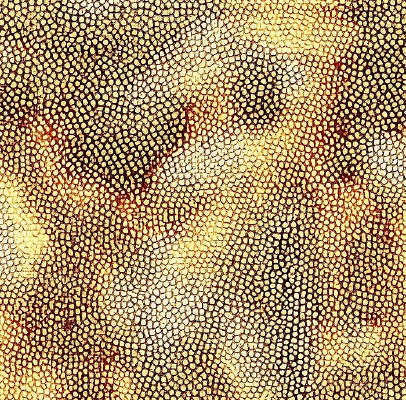 ���ɫƤ�������ߵ�ͼ