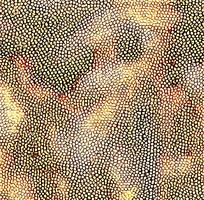 ɫƤߵͼ