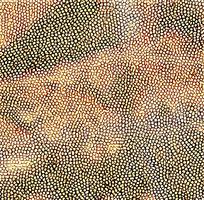 ɫƤߵͼ
