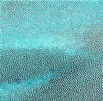 ����ɫƤ�������ߵ�ͼ