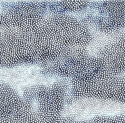 ��ɫƤ�������ߵ�ͼ