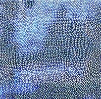 ��ɫƤ�������ߵ�ͼ