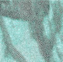 ��Ƥ�������ߵ�ͼ