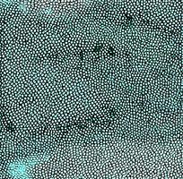 ɫƤߵͼ