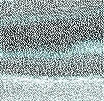 ��ɫƤ�������ߵ�ͼ