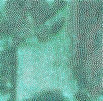 ��ɫƤ�������ߵ�ͼ