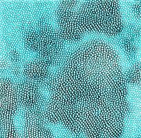 ��ɫƤ�������ߵ�ͼ