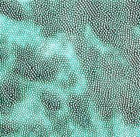 ��ɫƤ�������ߵ�ͼ