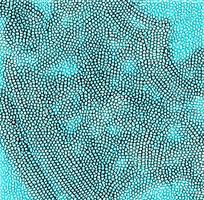 ��ɫƤ�������ߵ�ͼ