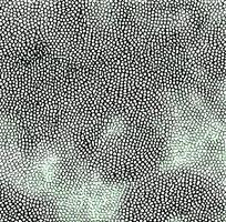 ī��ɫɫƤ�������ߵ�ͼ