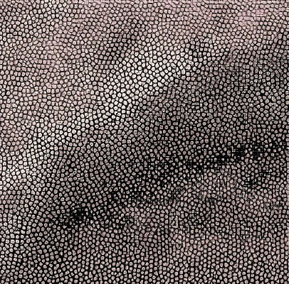 ���ɫƤ�������ߵ�ͼ