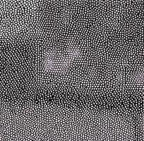 ���ɫƤ�������ߵ�ͼ