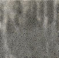 ���ɫƤ�������ߵ�ͼ