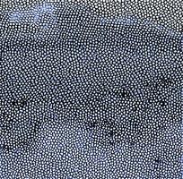 ����ɫƤ�������ߵ�ͼ