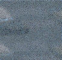 ����ɫƤ�������ߵ�ͼ