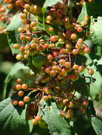 �����µļ��o��ʵ