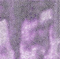 ��ɫƤ�������ߵ�ͼ