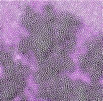 ��ɫƤ�������ߵ�ͼ