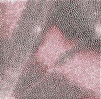 ��ɫƤ�������ߵ�ͼ