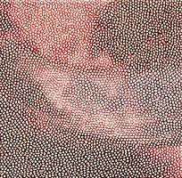 ��ɫƤ�������߿�ͼ