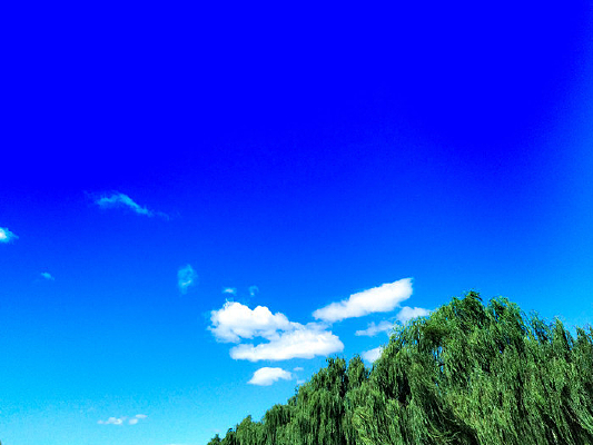 �ʹ�������