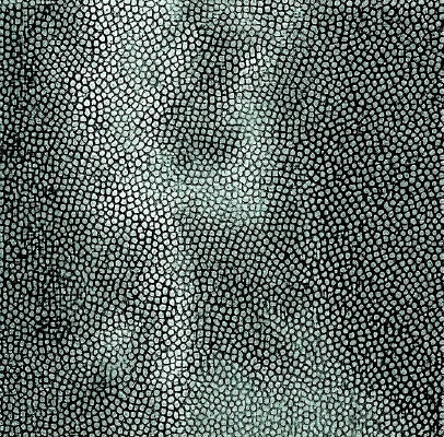 ����ɫƤ��ߵ�����ͼ