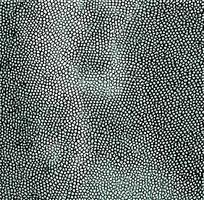 ����ɫƤ��ߵ�����ͼ