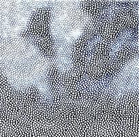 ��ɫ��ɫƤ�������ߵ�ͼ