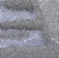 ��ɫƤ�������ߵ�ͼ