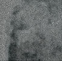 ��ɫƤ�������ߵ�ͼ