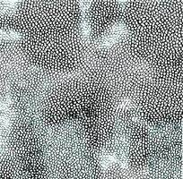 ��ɫƤ�������ߵ�ͼ