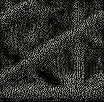 ��ɫƤ�������߿�ͼ