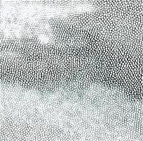 ��ɫǳ��ɫƤ�������ߵ�ͼ