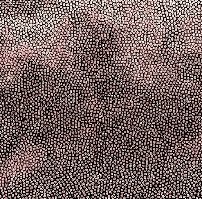 ��ɫƤ��ߵ�ͼ