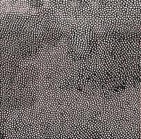 ��ɫƤ�������߿�ͼ