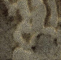 ��ɫƤ�������߿�ͼ