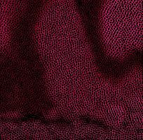 ���ɫƤ�������߿�ͼ