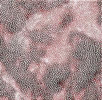 ��ɫƤ��ߵ�ͼ